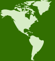 Americas region options card on Abroad Mobility